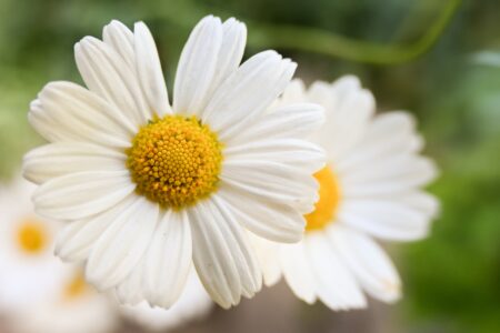 この先が気になるあなたへ