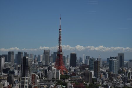 台風のあとは・・・