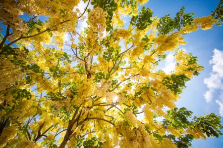 もうできないこと